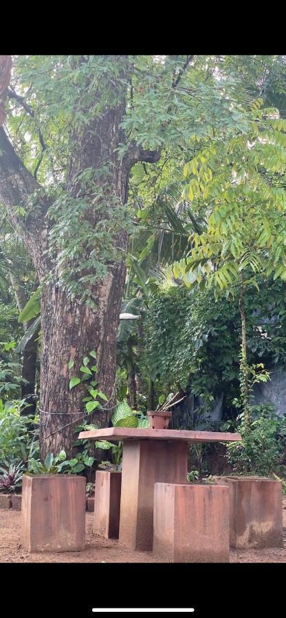 Pearl'S Homestay Матале Экстерьер фото